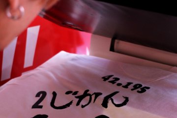 <p>Once heated the characters appear on the T-shirt magically and will stay there for a long time as long as you don't tumble dry or try to iron your shirt.&nbsp;</p>