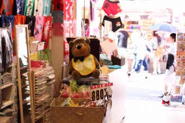 <p>Along with T-shirts and dog shirts you can also customize a baby bib design or even various underwear with whatever you may want to put on them.&nbsp;</p>