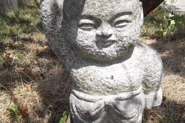 <p>There's not much shade under the foliage for this little dude</p>