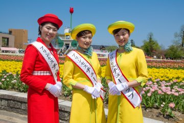 <p>Three of the many tulip girls</p>