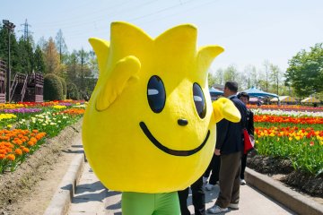 <p>The walking tulip that is always smiling&nbsp;</p>
