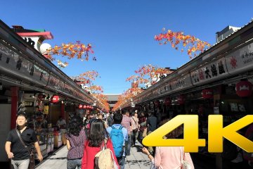 A Video Tour of Senso-ji