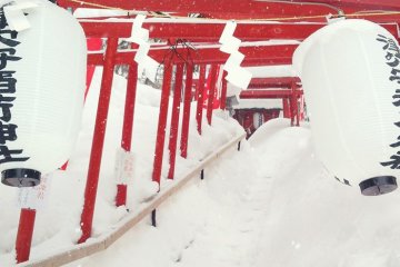 The hundreds of shrine gates found in Saino Kawara Park. The red colored gates conspicuously stands out in a snow white world beautifully. I will have to try going up when there is no snow!&nbsp; Place Address: 518 KusatsuKusatsu-machi, Agatsuma-gun, Gunma-ken 377-1711