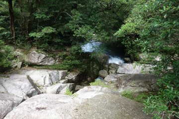 <p>Un endroit d&eacute;sert dans la for&ecirc;t de Shiratani Unsuikyo</p>