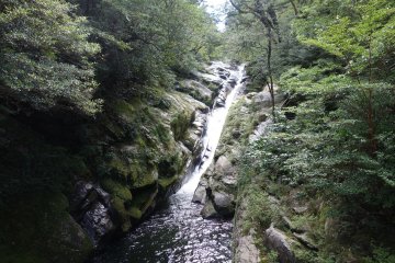 <p>Cascade dans la for&ecirc;t de Shiratani Unsuikyo</p>