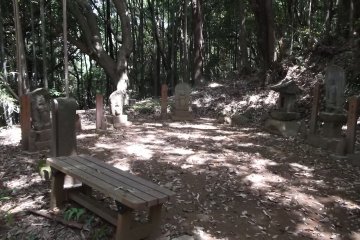 <p>Sedikit tanah terbuka pada puncak bukit</p>