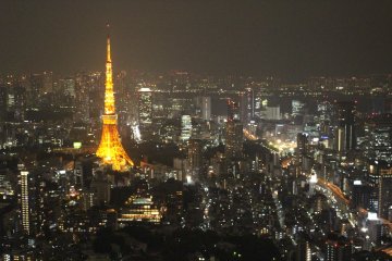<p>Views of Tokyo Tower from the Tokyo City View observation deck</p>