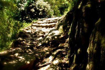 <p>Chemin &nbsp;</p>