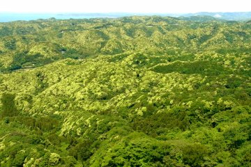 <p>Vue du rocher suspendu</p>