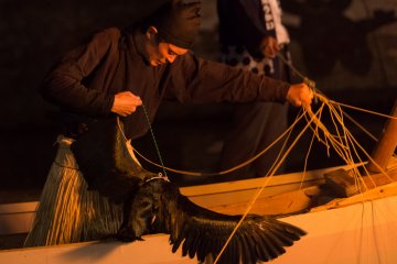 <p>The fisherman gets a fish from a cormorant's beak</p>