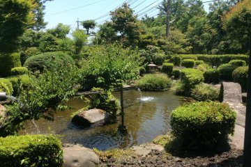 <p>A view of the garden&nbsp;from the restaurant</p>