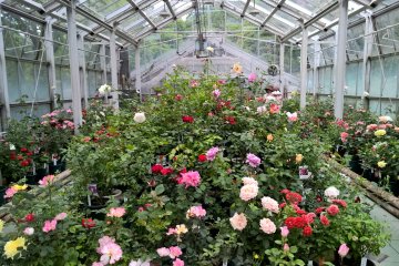 A heated green house