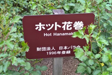 Hanamaki's own rose