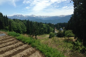 <p>While standing near a rice field and talking with a farmer, I was able to see the mountains.</p>