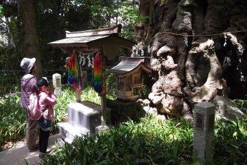 <p>Praying at a shrine behind the main hall</p>