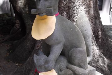 <p>Even statues of dogs get dressed up by the owners</p>