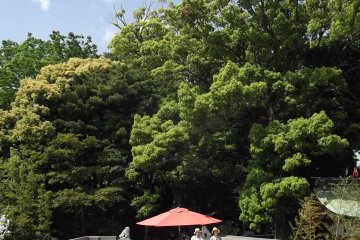 <p>The sunny terrace at the side</p>
