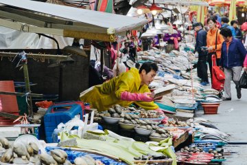 <p>Huge varieties of seafood on offer</p>