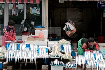 <p>The fish are not going to line themselves up</p>