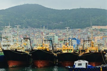 <p>Trawlers waiting for the next shift</p>