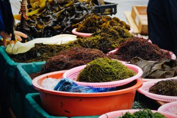 <p>Many colourful varieties of fresh seaweeds</p>