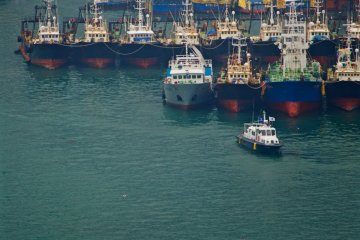 <p>Trawlers neatly docked in port</p>