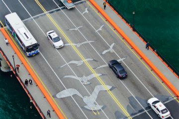 <p>One of Busan's huge number of bridges</p>