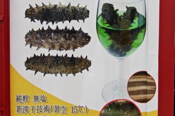 <p>Instant Sea Cucumbers - may the force be with you</p>