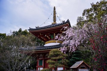 <p>Two-story pagoda in the sixth temple</p>