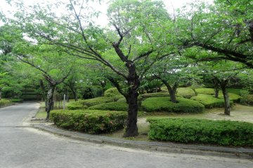 <p>The grounds are not very big and take only 5 minutes to walk across</p>
