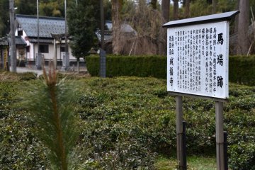 <p>Site of Jofukuji Temple's horse-riding grounds. Horses were tied up here when the lords of Fukui Matsudaira Clan visited the temple. It has been turned into a tea plantation now.</p>