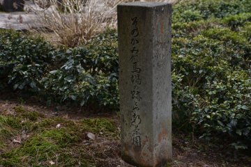 <p>Stone marker with a poem on the ex-horse-riding grounds, the current tea plantation</p>