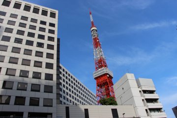 <p>A son approche, la Tokyo Tower peut &ecirc;tre dissimul&eacute;e par plusieurs ensembles d'immeubles. Pour ceux qui ne souhaiteraient pas marcher depuis le quartier de Roppongi, le mieux reste de descendre &agrave; la station Akabanebashi sur la ligne Oedo</p>