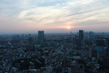 <p>Un deuxieme niveau, le Special Observatory (250 m( permet d'admirer davantage toute l'&eacute;tendue de la megalopole tokyoite.</p>