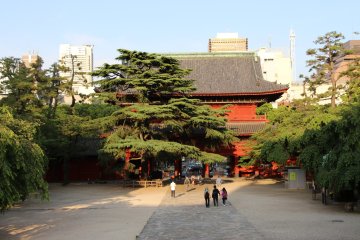 <p>Le San Gadatsu-Mon, vu depuis les escaliers menant au b&acirc;timent central du temple, qui abrite un Bouddha</p>