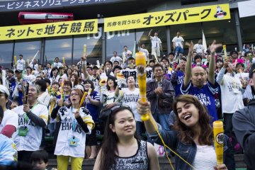 Watching Japanese Baseball Games