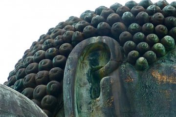 <p>Figure 1. Totally 656 whorls</p>
