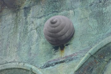 <p>Figure 2. The whorl in the middle of the forehead</p>