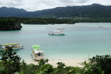 <p>La baie a gagn&eacute; les tr&egrave;s convoit&eacute;es trois &eacute;toiles dans le guide Michelin</p>
