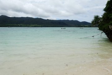 <p>Alors que l'oc&eacute;an ici est toujours tentant, la baignade est interdite</p>