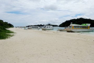 <p>Vous pouvez, toutefois, construire des ch&acirc;teaux de sable sur la plage ou faire un tour dans un bateau au fond de verre</p>