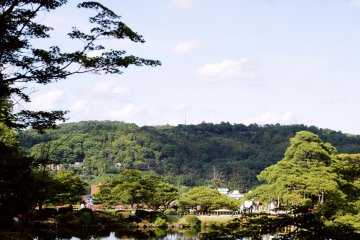 <p>Pemandangan lain dari sudut taman.</p>
