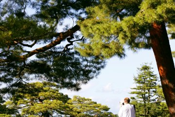 <p>Taman ini merupakan tempat yang hebat untuk mengambil foto.</p>
