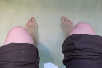 <p>Soaking my feet after lunch</p>