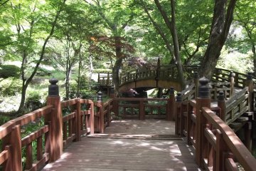 <p>There are plenty of bridges around the park</p>
