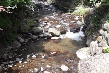 <p>This river runs gently all the way down through the park</p>