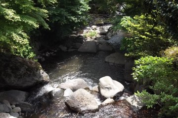 <p>It's nice to walk alongside the stream</p>