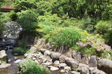 <p>The park is full of flowers and greenery</p>