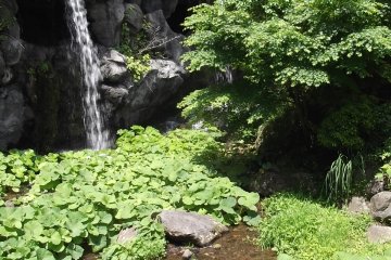 <p>There's this waterfall at the head of the stream</p>