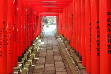 Children of the neighborhood often play in and around the torii 'tunnel'.